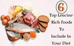 foods -rich-in-leucine